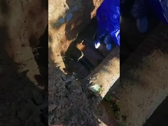 Su borusu bağlantı levhası Tipi Çift kart uzatma borusu Tamir Klem Paslanmaz Çelik TUV